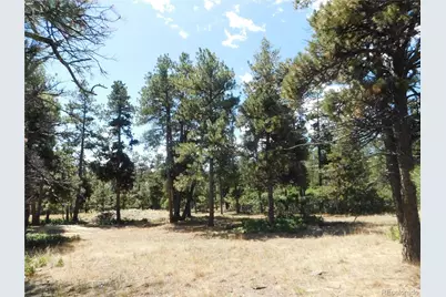 1392 Cameron Court, Larkspur, CO 80118 - Photo 28