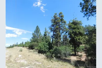 1392 Cameron Court, Larkspur, CO 80118 - Photo 18