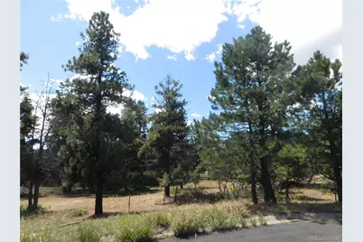 1392 Cameron Court, Larkspur, CO 80118 - Photo 36