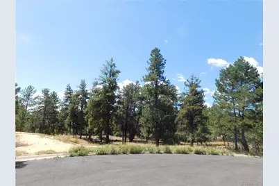 1392 Cameron Court, Larkspur, CO 80118 - Photo 2
