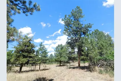 1392 Cameron Court, Larkspur, CO 80118 - Photo 24