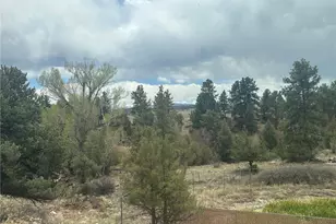 10795 County Road 197 A #282 & 283, Nathrop, CO 81236 - Photo 28