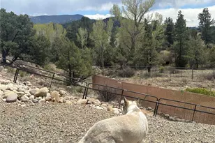 10795 County Road 197 A #282 & 283, Nathrop, CO 81236 - Photo 26