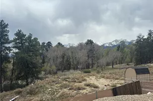 10795 County Road 197 A #282 & 283, Nathrop, CO 81236 - Photo 38