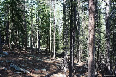 Lot 18 Hidden Wildernes Road, Idaho Springs, CO 80461 - Photo 8