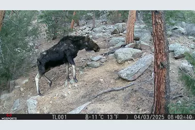 21005 State Highway 7, Lyons, CO 80540 - Photo 30