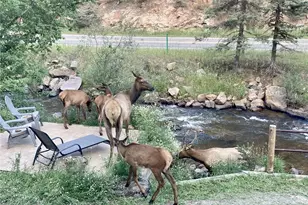 27154 Hwy 74, Evergreen, CO 80439 - Photo 38