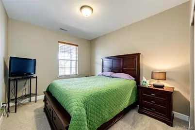 590 Tippen Place, Castle Rock, CO 80104 - Photo 26