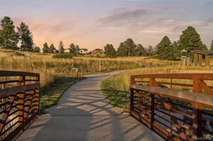 11582 Tyrolite Trl, Parker, CO 80138 - Photo 44