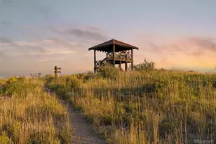11582 Tyrolite Trl, Parker, CO 80138 - Photo 48