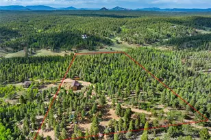 4269 Cedar Mountain Rd, Divide, CO 80814 - Photo 32