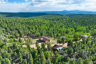 4269 Cedar Mountain Rd, Divide, CO 80814 - Photo 34