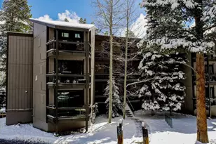 1075 Ski Hill Rd, Breckenridge, CO 80424 - Photo 28