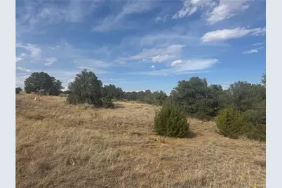 L24 B2 Black Diamond Park, Walsenburg, CO 81089 - Photo 4