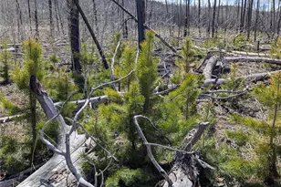 1945 Strauss Dr, Fort Garland, CO 81133 - Photo 1