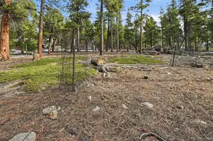 34089 Lyttle Dowdle Dr, Golden, CO 80403 - Photo 24