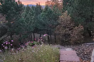 1918 Foxfield Dr, Castle Rock, CO 80104 - Photo 50