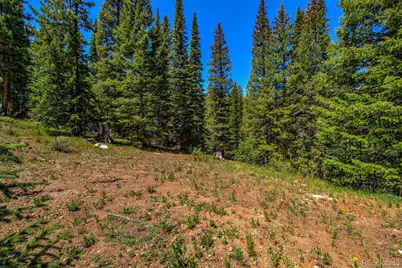 0307 Cr 674, Breckenridge, CO 80424 - Photo 6