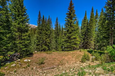 0307 Cr 674, Breckenridge, CO 80424 - Photo 4