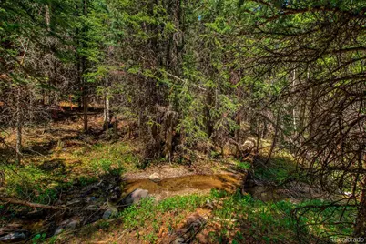 0307 Cr 674, Breckenridge, CO 80424 - Photo 12