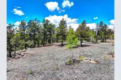 104 York Court, Jefferson, CO 80456 - Photo 8