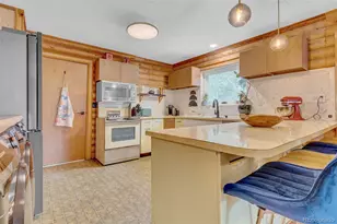 14601 S Elk Creek Rd, Pine, CO 80470 - Photo 8