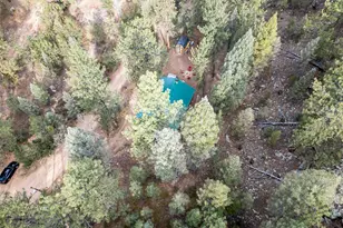 14601 S Elk Creek Rd, Pine, CO 80470 - Photo 26