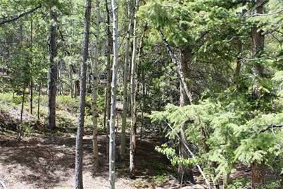 6050 Virginia Canyon Road, Central City, CO 80427 - Photo 22