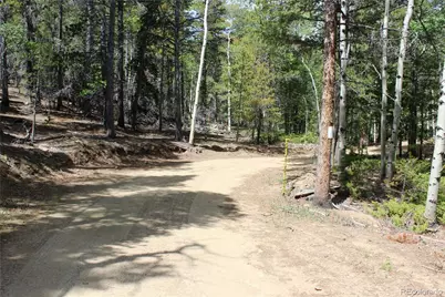 6050 Virginia Canyon Road, Central City, CO 80427 - Photo 24