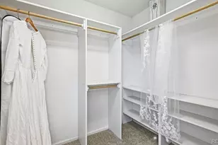 7869 Solstice Way, Castle Rock, CO 80108 - Photo 28