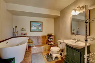 2210 Lone Pine, Crestone, CO 81131 - Photo 26