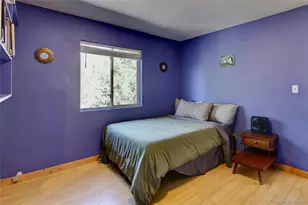 2210 Lone Pine, Crestone, CO 81131 - Photo 14
