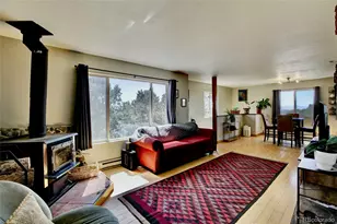 2210 Lone Pine, Crestone, CO 81131 - Photo 2