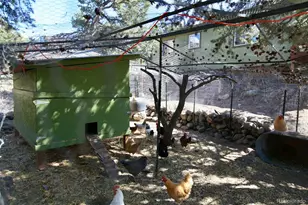 2210 Lone Pine, Crestone, CO 81131 - Photo 40