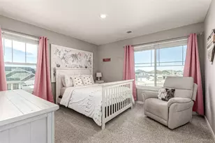 17200 Red Cosmos Pt, Parker, CO 80134 - Photo 24