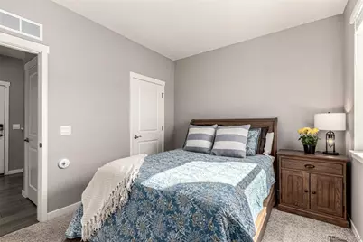 17200 Red Cosmos Point, Parker, CO 80134 - Photo 24