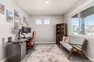 17200 Red Cosmos Pt, Parker, CO 80134 - Photo 32