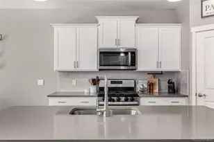 17200 Red Cosmos Pt, Parker, CO 80134 - Photo 10