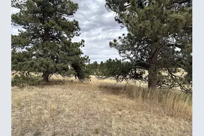 39080 County Road 21, Elizabeth, CO 80107 - Photo 4