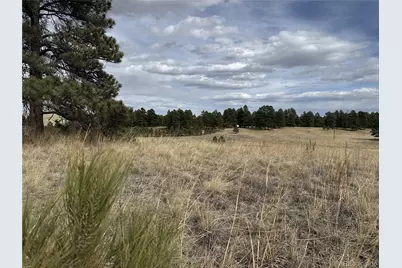 39080 County Road 21, Elizabeth, CO 80107 - Photo 2