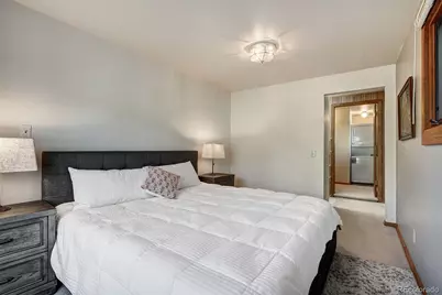 121 Fishermans Drive, Silverthorne, CO 80498 - Photo 26