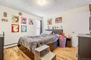 2401 Ryan Gulch Ct, Silverthorne, CO 80498 - Photo 8