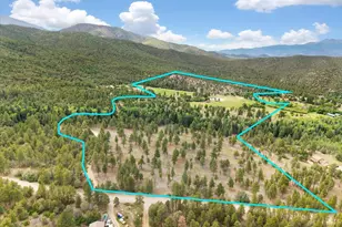 3285 Co Rd 47, Howard, CO 81233 - Photo 46