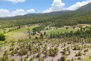 3285 Co Rd 47, Howard, CO 81233 - Photo 42
