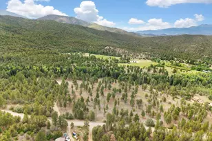 3285 Co Rd 47, Howard, CO 81233 - Photo 44