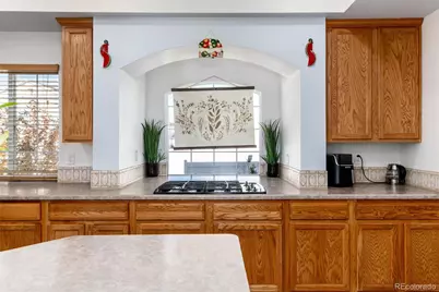 5293 Malaya St, Denver, CO 80249 - Photo 18