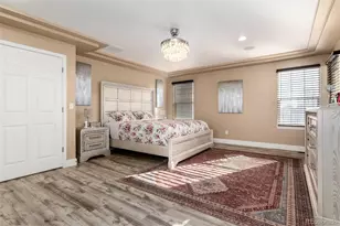 5293 Malaya St, Denver, CO 80249 - Photo 32