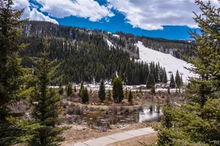 58 Hawk Cir, Dillon, CO 80435 - Photo 1