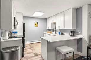 1233 N Ogden St, Denver, CO 80218 - Photo 18