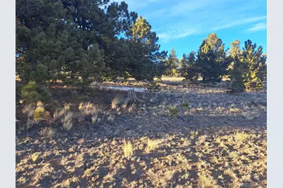 186 Boulder Road, Hartsel, CO 80449 - Photo 8